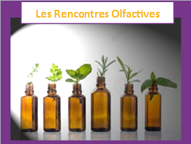 programme rencontres olfactives